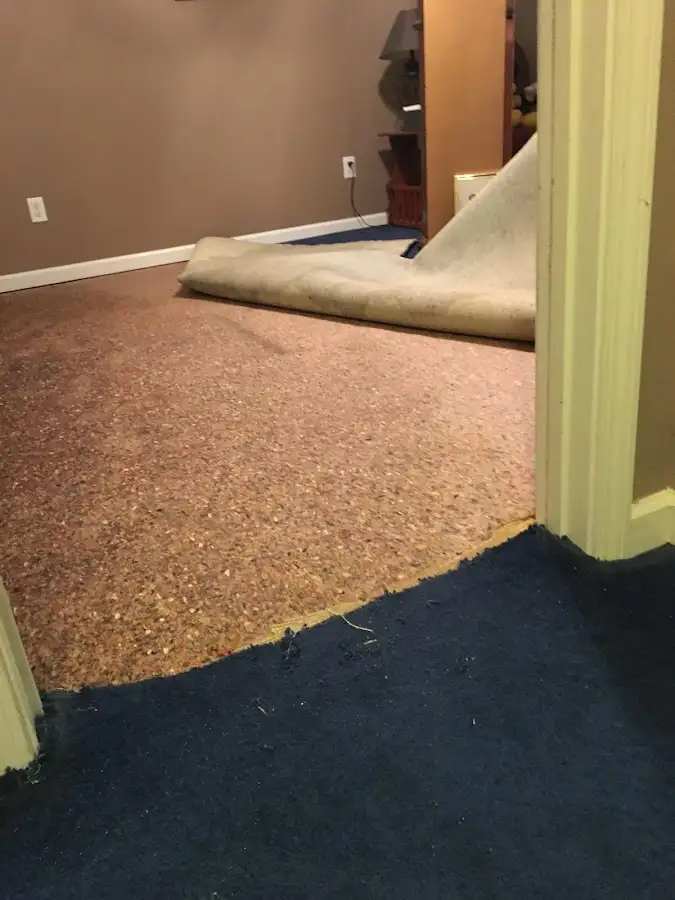 Carpet pad removal revealing water damage during Water Mitigation Services in Orion