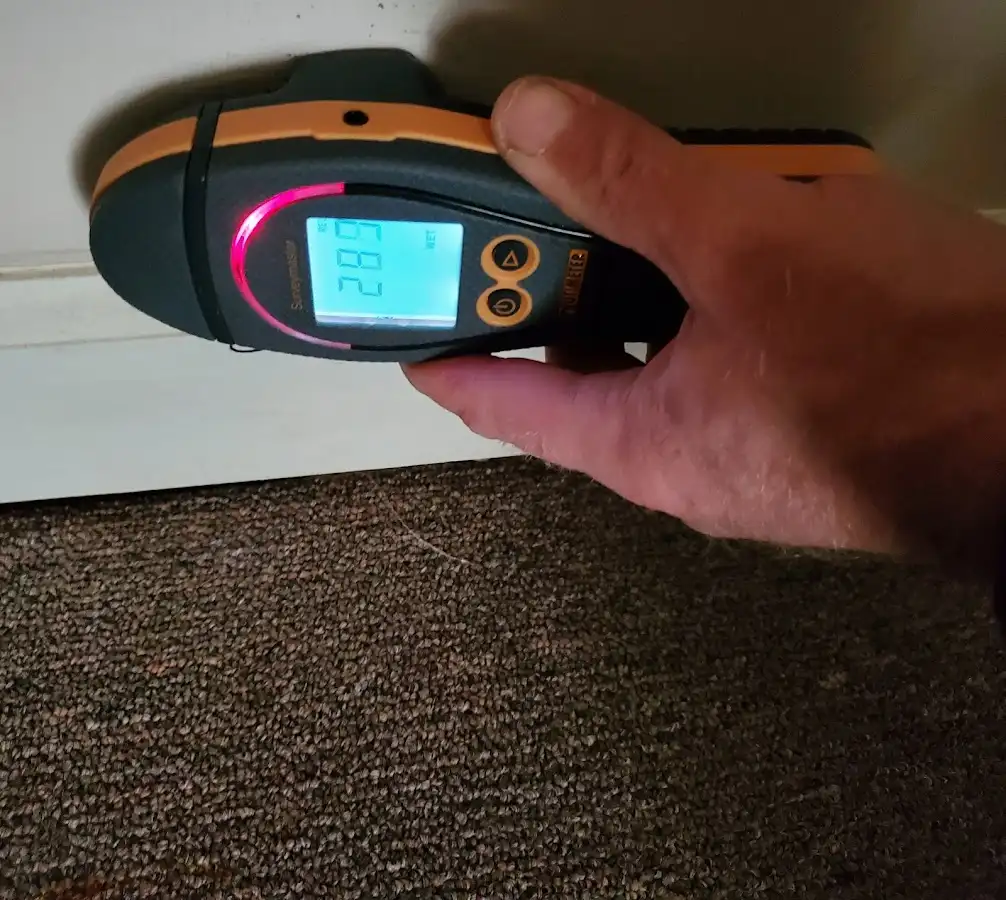 Moisture detection at baseboard during Sewage Cleanup & Sanitation in Orion